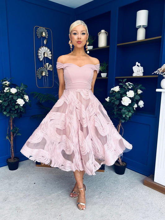 EVENING DRESS  Canella Lane