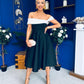 Maxine Detailed Occasion Dress Monochrome