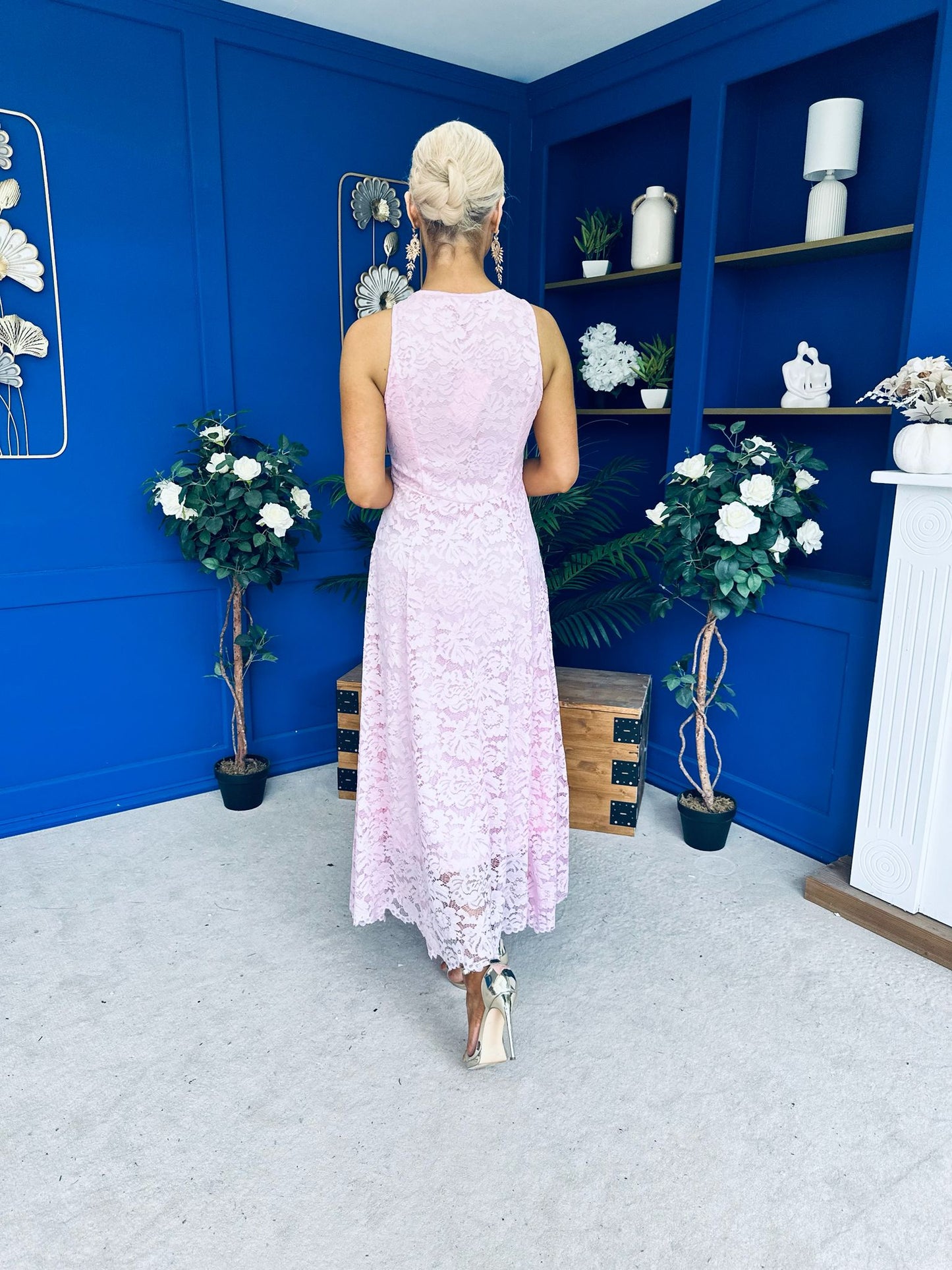 Catalina Detailed Lace Occasion Dress Pink