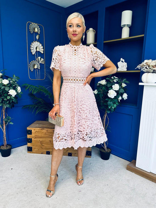 Shauna Crochet Occasion Midi Dress Blush