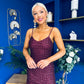Karly Detailed Sequin Occasion Dress Burgundy