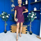 Gina Embellished Puff Sleeve Mini Dress Berry