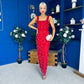 Georgia Pearl Embellished Occasion Dress Red