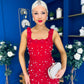 Georgia Pearl Embellished Occasion Dress Red