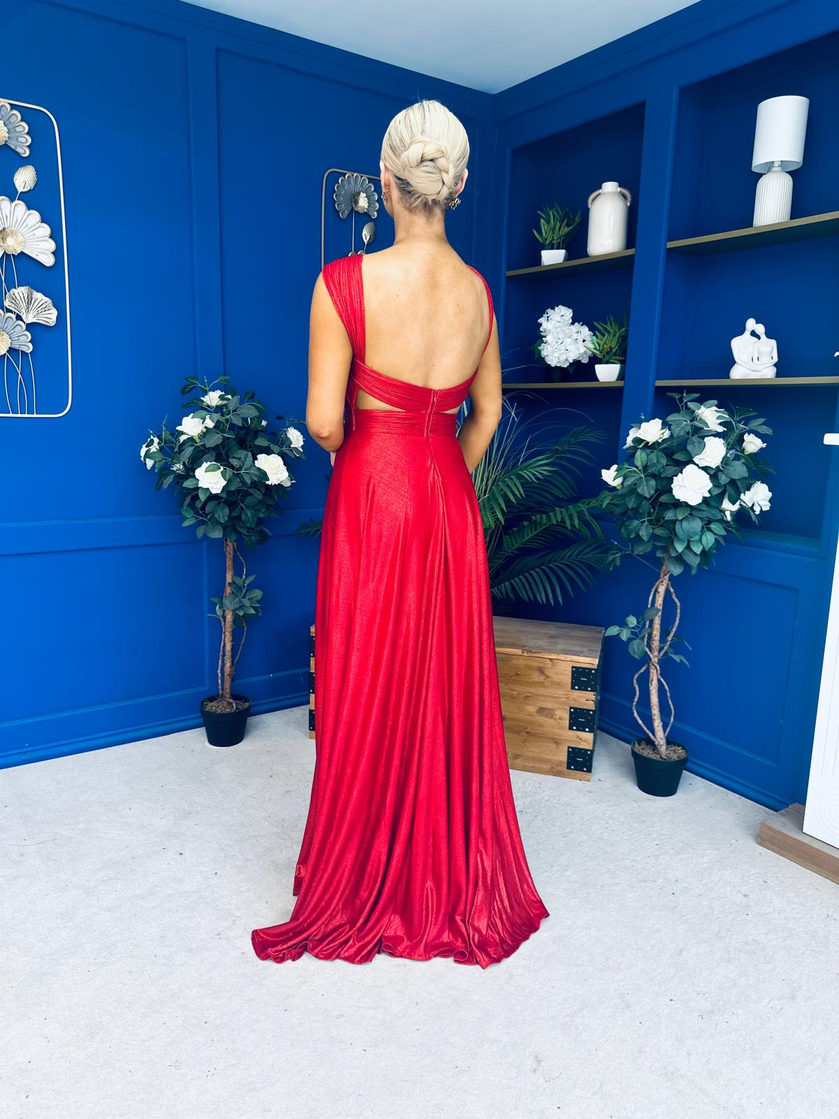 Jennifer Detailed Occasion Dress Metallic Rouge