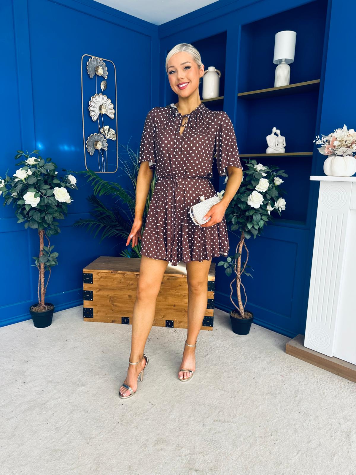 Danielle Detailed Mini Dress Polka Coffee