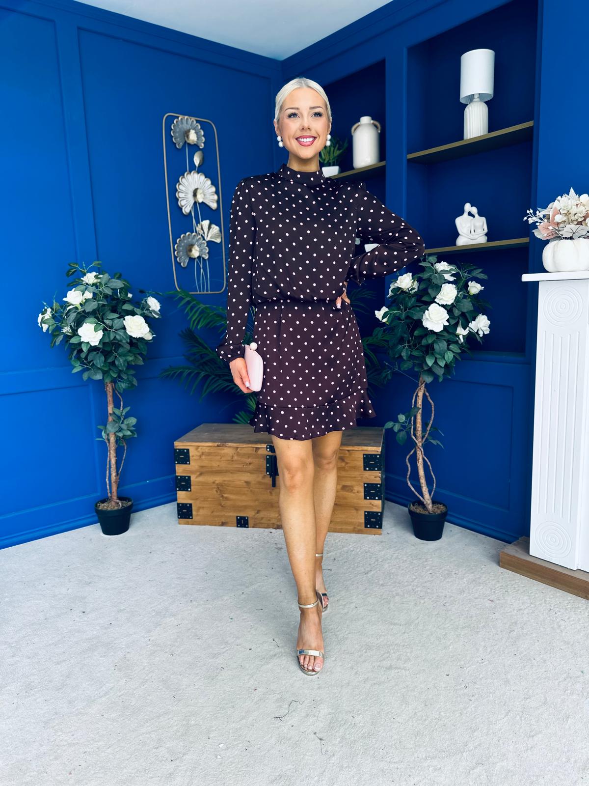 Riana High Neck Long Sleeve Mini Dress Pink Polka Burgundy