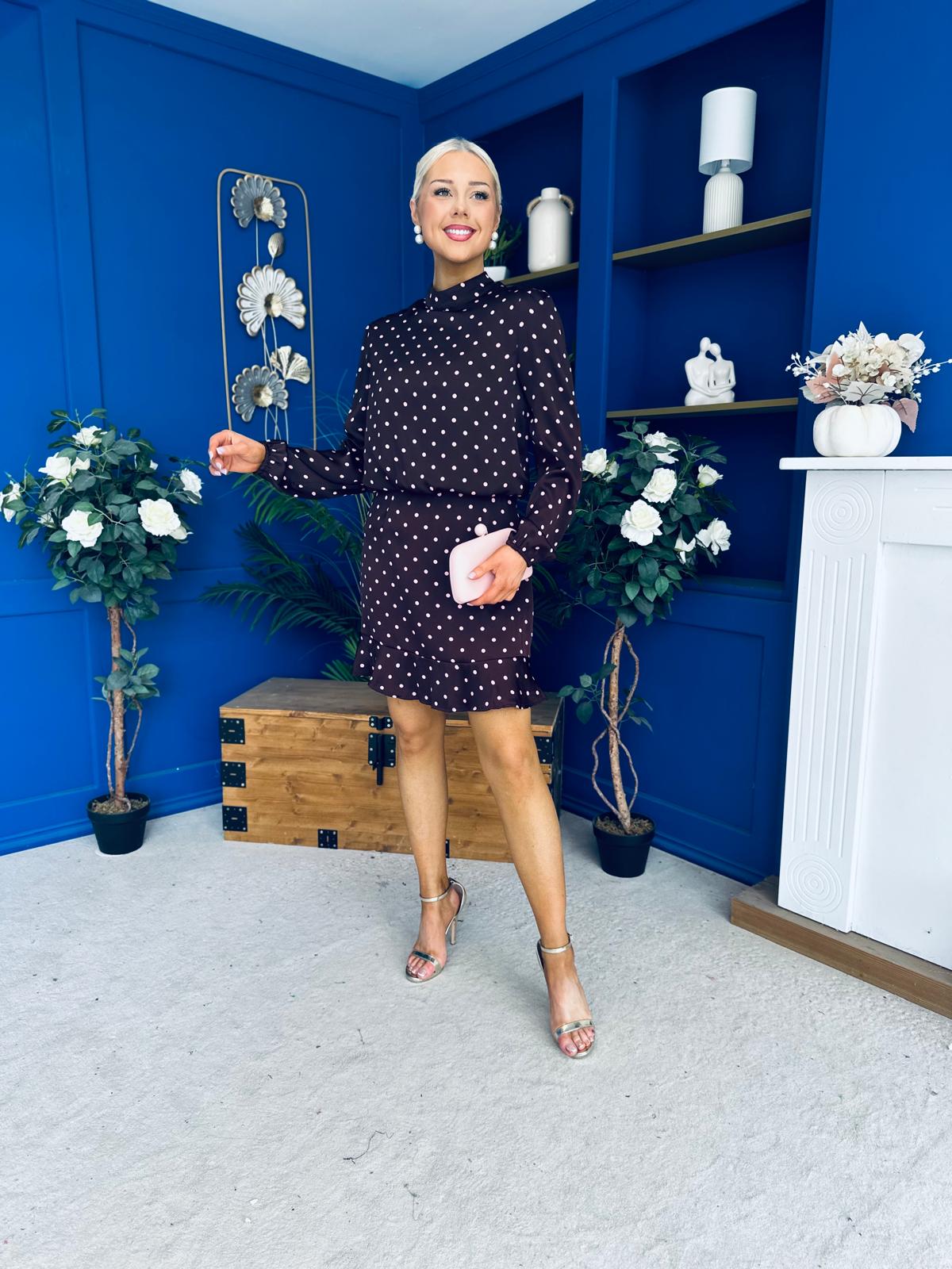 Riana High Neck Long Sleeve Mini Dress Pink Polka Burgundy
