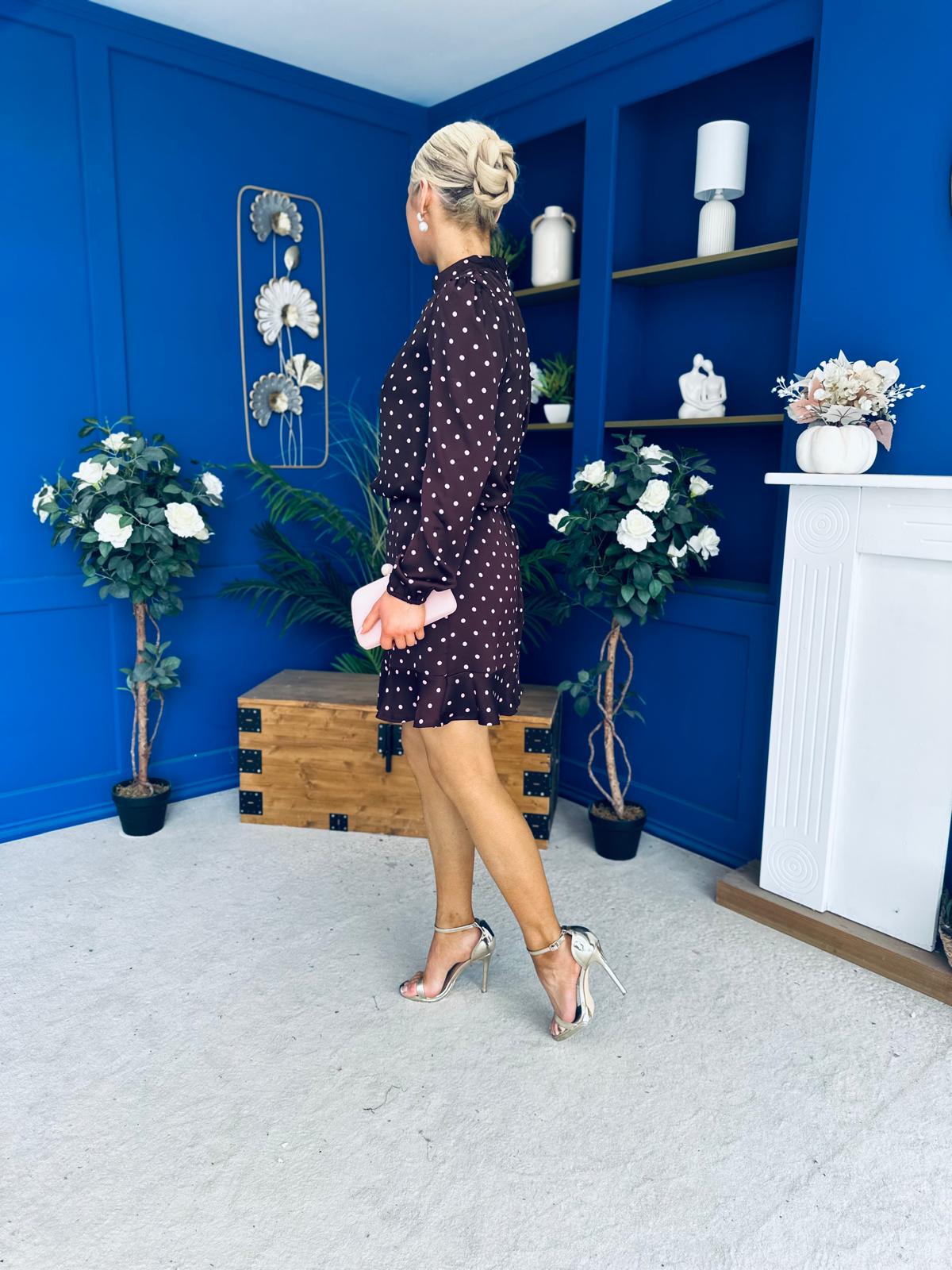 Riana High Neck Long Sleeve Mini Dress Pink Polka Burgundy