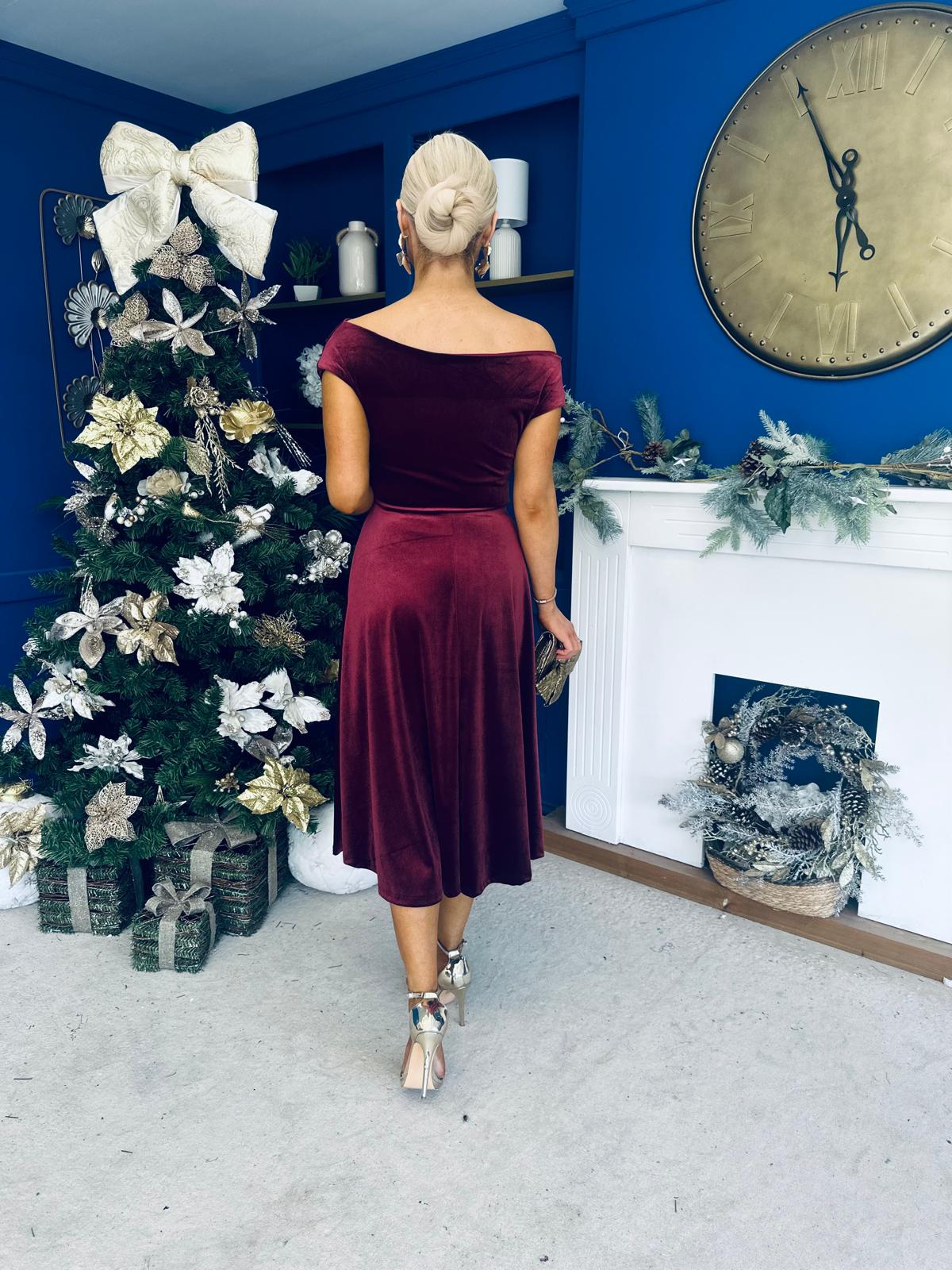 Imogen Gold Broach Velvet Midi Dress Wine