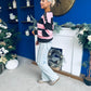 Edel Button Detailed Knitted Jumper Pink