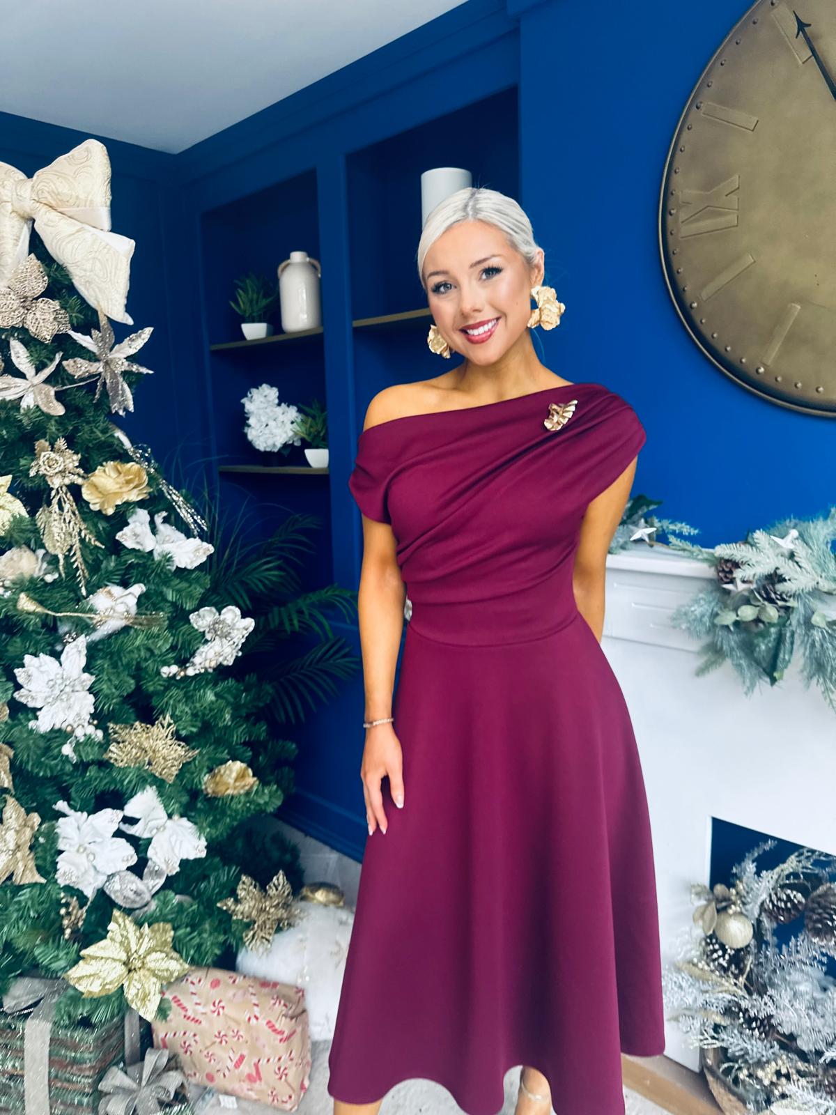 Bailey Gold Brooch Detail Midi Dress Wine