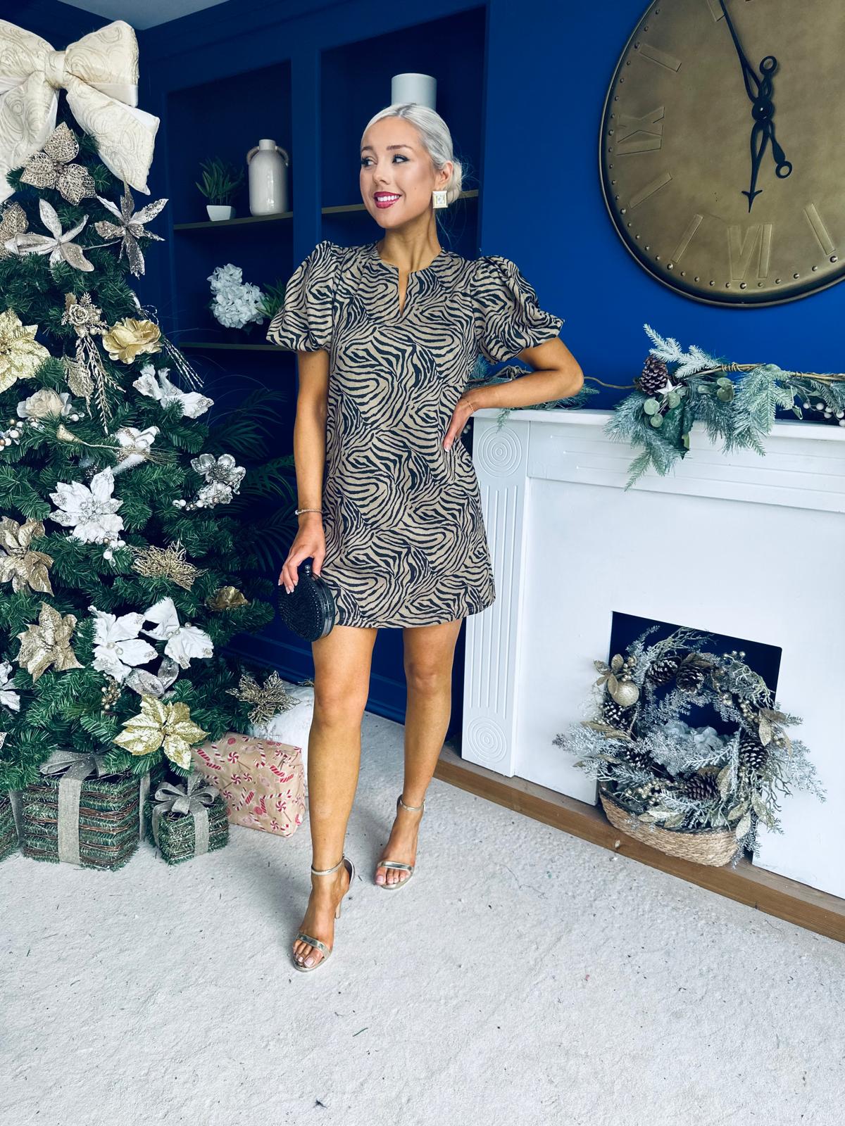 Kiri Zebra Puff Sleeve Mini Dress Stone