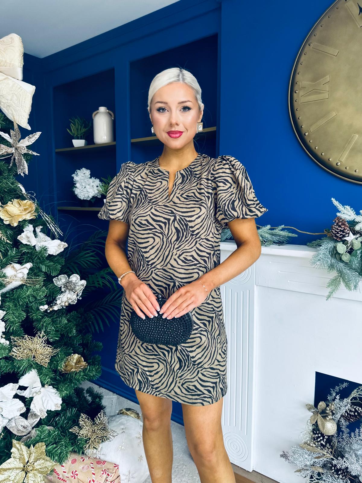 Kiri Zebra Puff Sleeve Mini Dress Stone