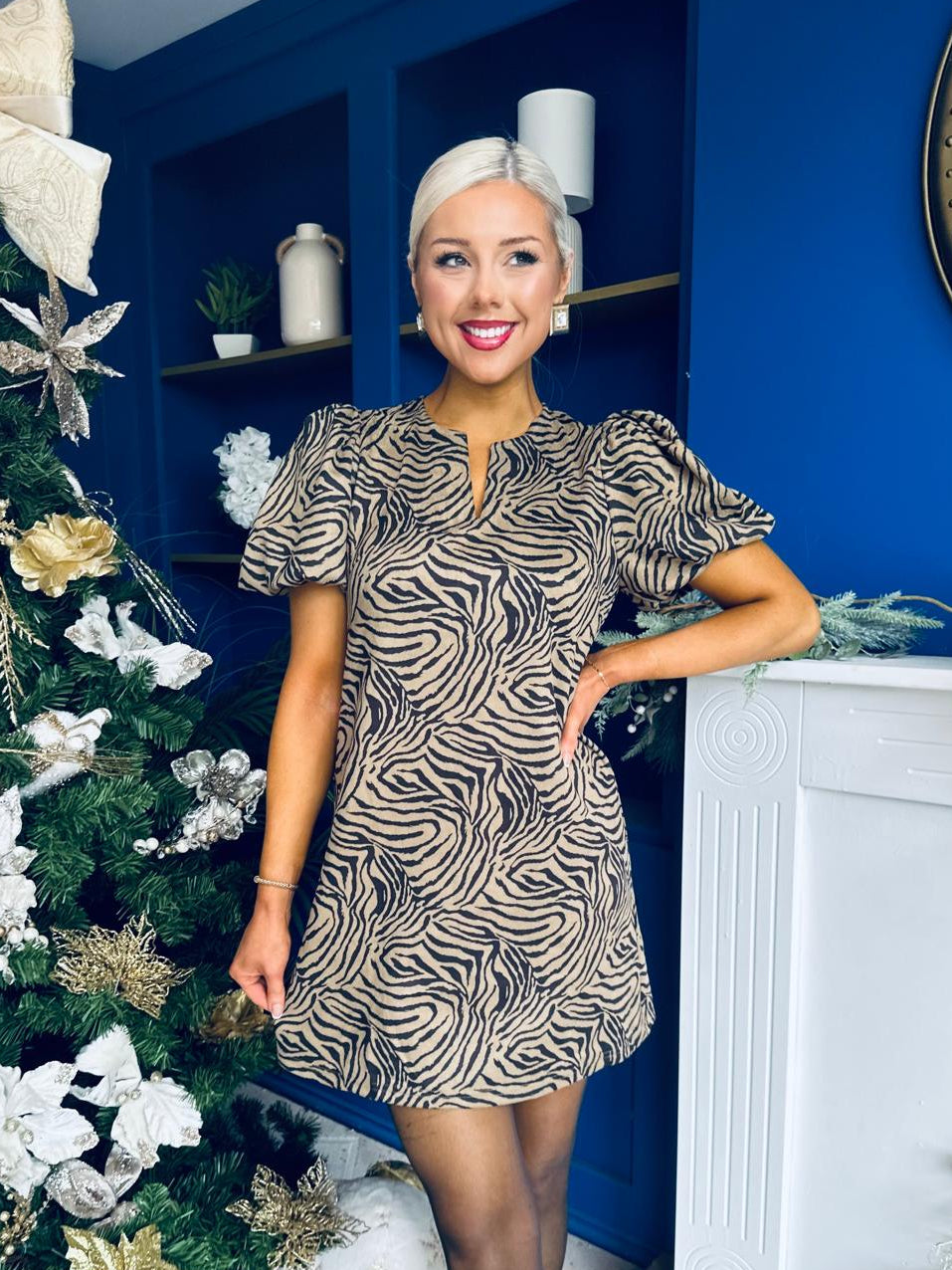 Kiri Zebra Puff Sleeve Mini Dress Stone