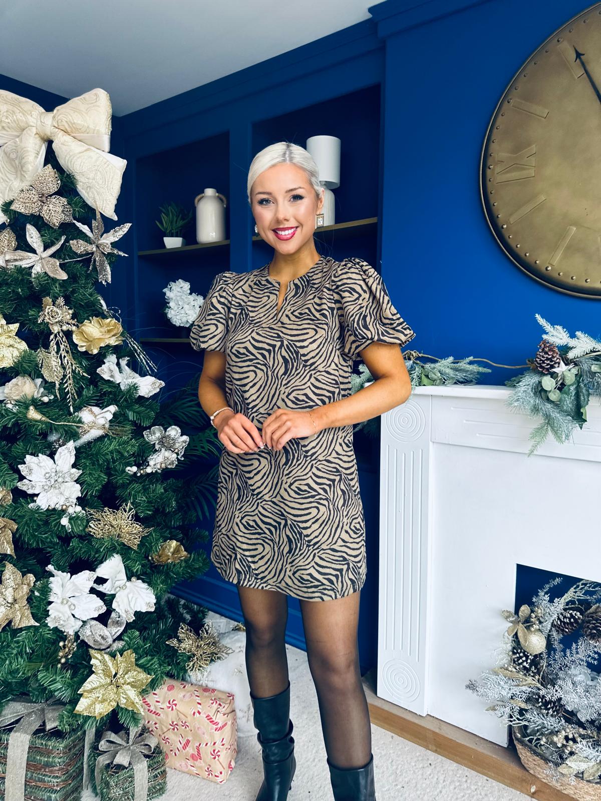Kiri Zebra Puff Sleeve Mini Dress Stone