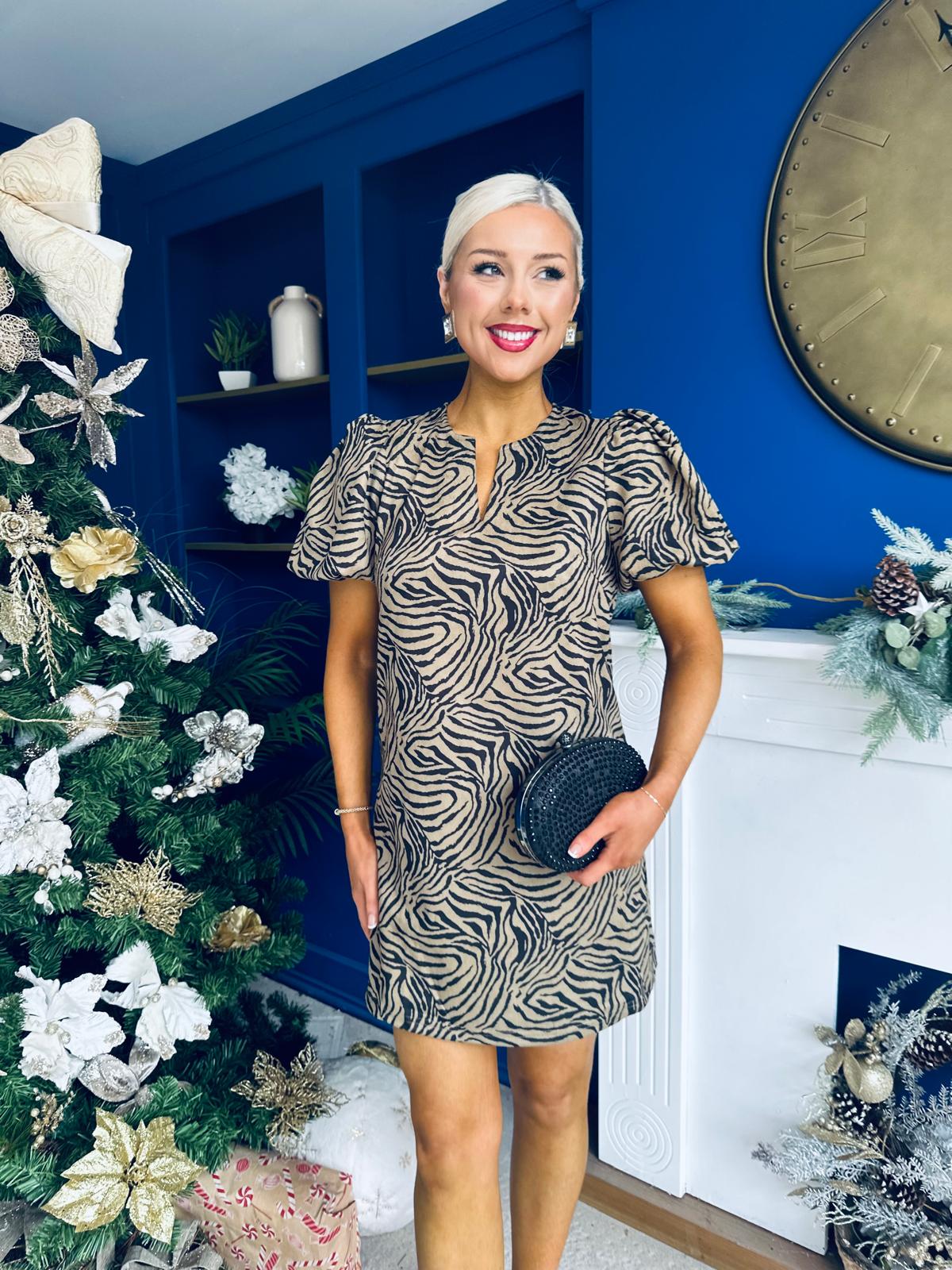 Kiri Zebra Puff Sleeve Mini Dress Stone