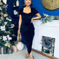 Saoirse Gathered Detail Velvet Occasion Dress Black