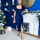 Saoirse Gathered Detail Velvet Occasion Dress Navy