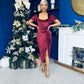 Saoirse Gathered Detail Velvet Occasion Dress Wine