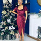 Saoirse Gathered Detail Velvet Occasion Dress Wine
