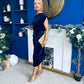 Isabelle Gathered Detail Velvet Occasion Dress Navy