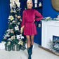 Larissa High Neck Long Sleeve Mini Dress Wine