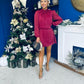 Larissa High Neck Long Sleeve Mini Dress Wine
