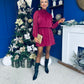 Larissa High Neck Long Sleeve Mini Dress Wine