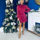 Larissa High Neck Long Sleeve Mini Dress Wine