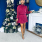Larissa High Neck Long Sleeve Mini Dress Wine