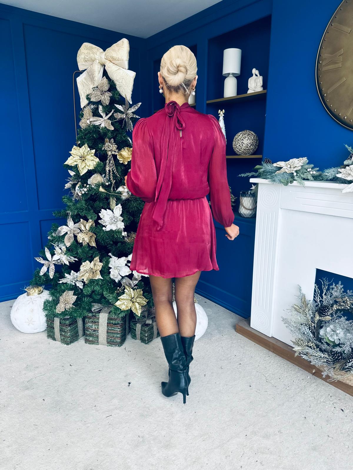 Larissa High Neck Long Sleeve Mini Dress Wine