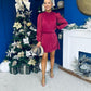 Larissa High Neck Long Sleeve Mini Dress Wine