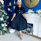 Colette Puff Sleeve Gold Detail Velvet Dress Black