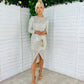Danielle Sequin Dress Silver