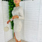 Danielle Sequin Dress Silver