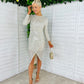 Danielle Sequin Dress Silver