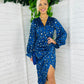 Elsa Long Sleeve Wrap Asymmetric Dress Leopard Blue